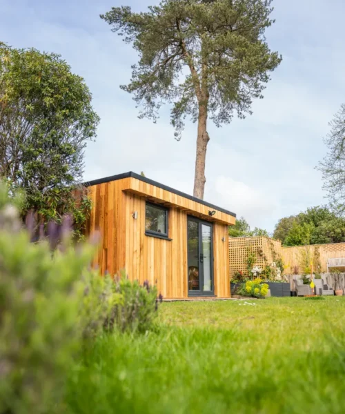 Garden Room next to a Tree