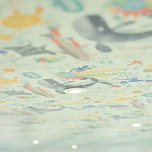 Sea Creature Ceiling