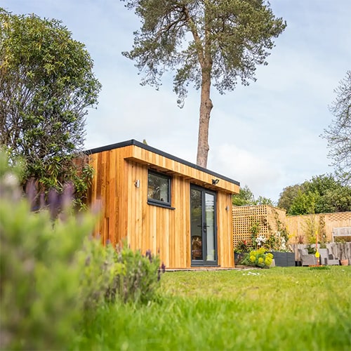 Garden Room and Tree