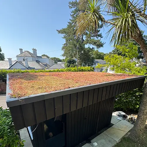 Garden Room Green Roof