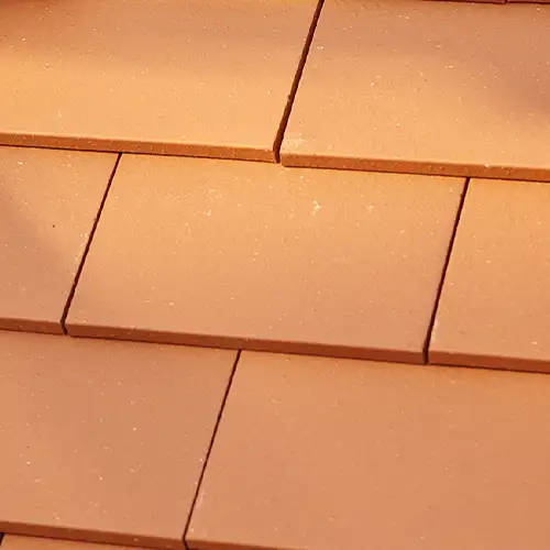 Roof Tiles Close-up